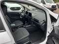 Ford EcoSport 1.0 EcoBoost TITANIUM Білий - thumbnail 9