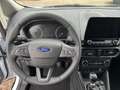 Ford EcoSport 1.0 EcoBoost TITANIUM Білий - thumbnail 12