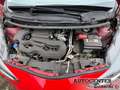 Toyota Aygo Aygo 5p 1.0 x-cool 72cv Rood - thumbnail 29