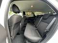 Ford Focus Turnier Business*NAVI*PDC*SHZ*4S-REIFEN Weiß - thumbnail 17