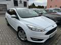 Ford Focus Turnier Business*NAVI*PDC*SHZ*4S-REIFEN Weiß - thumbnail 1