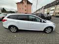 Ford Focus Turnier Business*NAVI*PDC*SHZ*4S-REIFEN Weiß - thumbnail 8