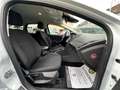 Ford Focus Turnier Business*NAVI*PDC*SHZ*4S-REIFEN Weiß - thumbnail 16