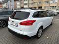Ford Focus Turnier Business*NAVI*PDC*SHZ*4S-REIFEN Weiß - thumbnail 7
