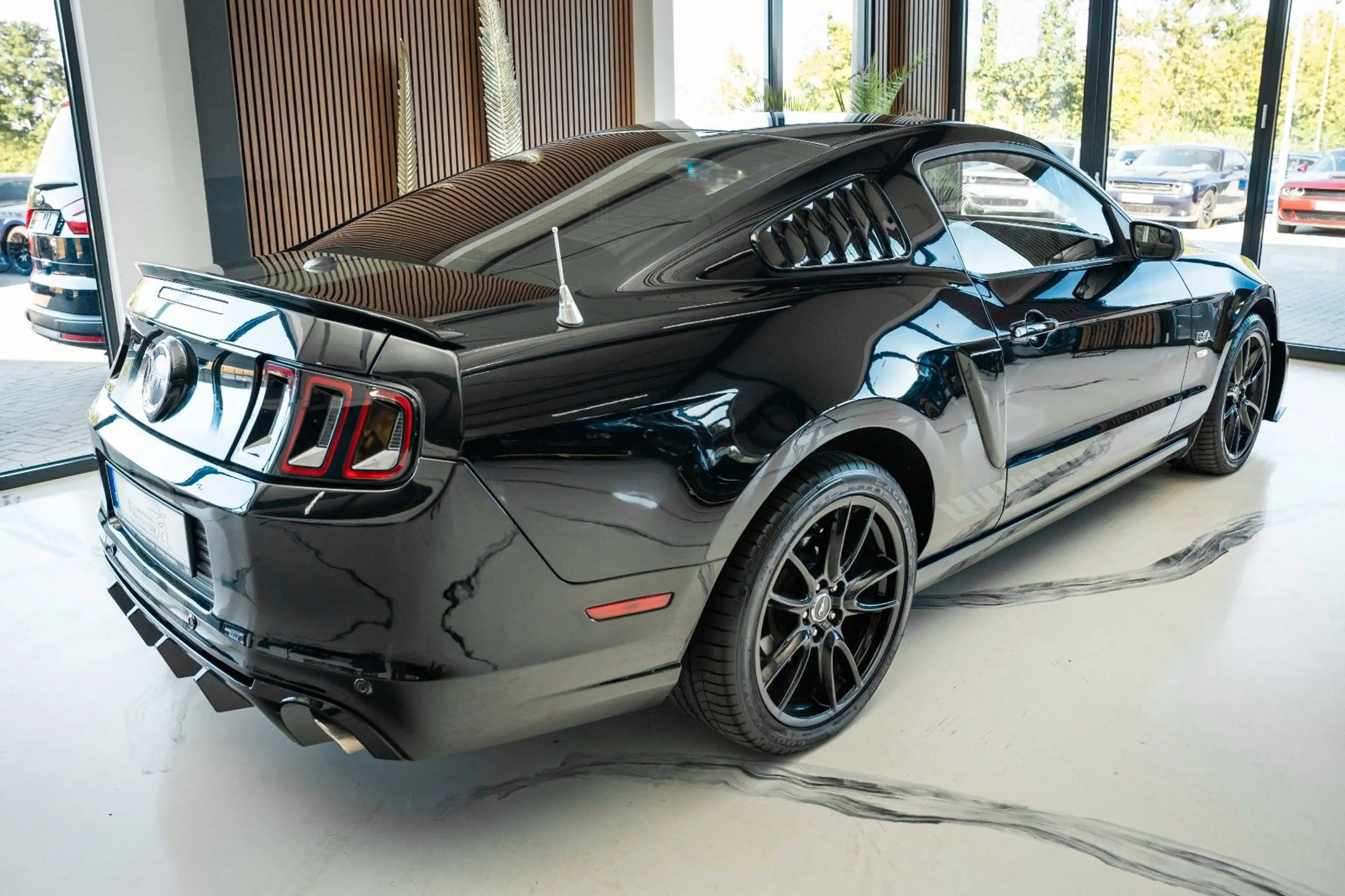 Ford Mustang 5,0 GT 500 SHELBY PREMIUM SCHLATER — photo 5
