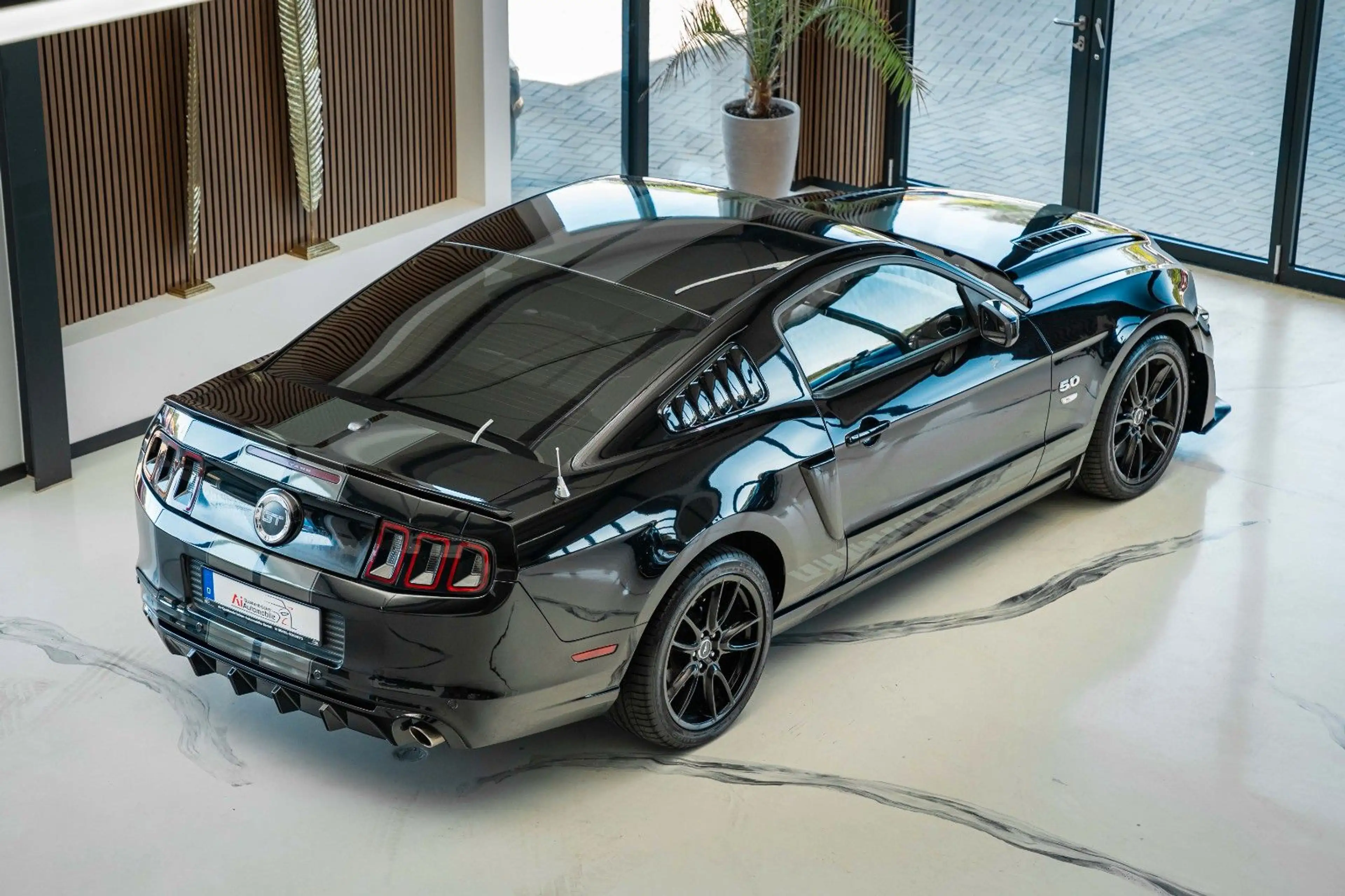 Ford Mustang 5,0 GT 500 SHELBY PREMIUM SCHLATER — photo 6
