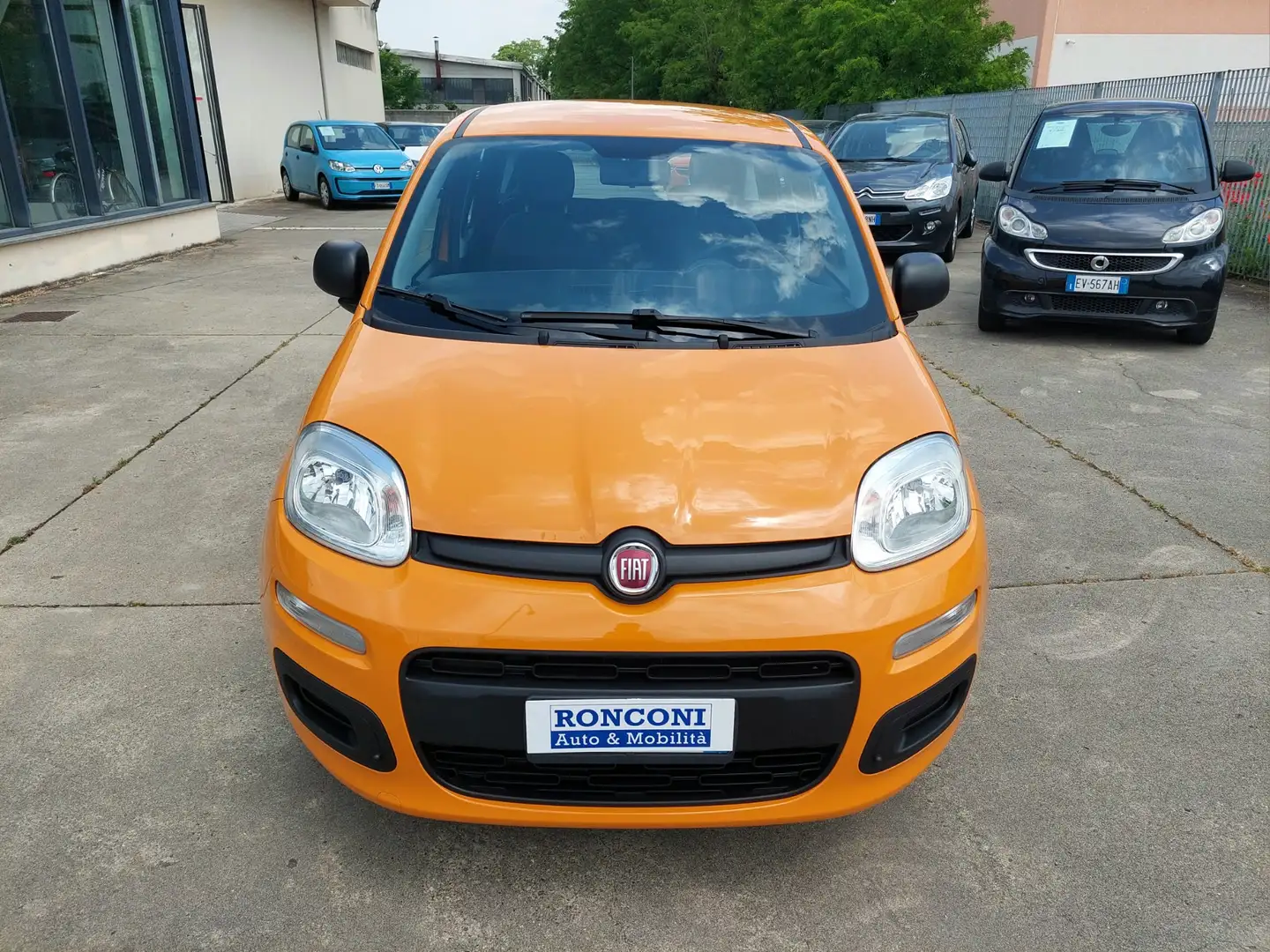 Fiat Panda 1.2 69cv Easy S&S Arancione - 2