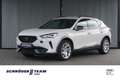 CUPRA Formentor 1.4 e-Hybrid Navi LED ACC Wit - thumbnail 1