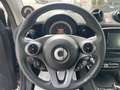 smart forTwo Fortwo eq Edition One 22kW *LIMITED EDITION* Gris - thumbnail 21