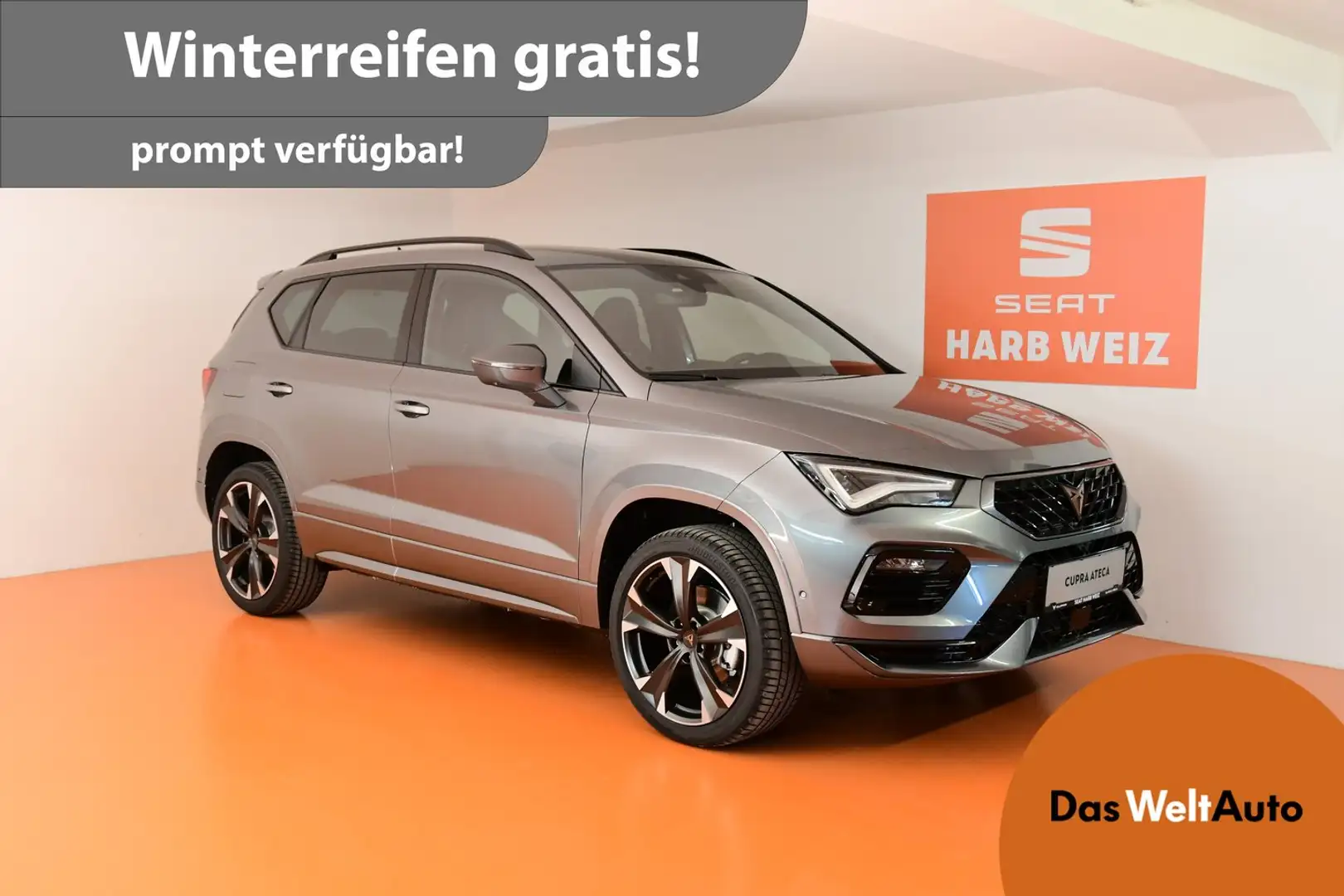 CUPRA Ateca 2.0 TSI DSG 4Drive 190 Grau - 1