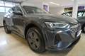 Audi Q8 e-tron e-tron  e-tron quattro Business Matrix/Nav Grau - thumbnail 3