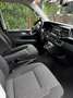Volkswagen T6.1 Multivan Kurz DSG Trendline Alb - thumbnail 5