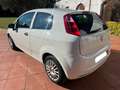 Fiat Punto Punto 1.2 Feel/Classic Feel/Classic Blanco - thumbnail 3