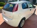Fiat Punto Punto 1.2 Feel/Classic Feel/Classic Blanco - thumbnail 5