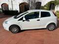 Fiat Punto Punto 1.2 Feel/Classic Feel/Classic Blanco - thumbnail 2