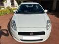 Fiat Punto Punto 1.2 Feel/Classic Feel/Classic Blanco - thumbnail 7