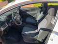 Fiat Punto Punto 1.2 Feel/Classic Feel/Classic Blanco - thumbnail 8