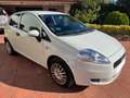 Fiat Punto Punto 1.2 Feel/Classic Feel/Classic Blanco - thumbnail 6