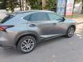 Lexus NX 300 NX I 2014 300h 2.5 F-Sport 4wd cvt Grau - thumbnail 2