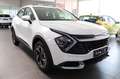 Kia Sportage 1.6 48V SHZ,Klimaauto,Navi,R.Cam SOFORT Alb - thumbnail 3