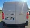 Peugeot Expert 1.5 Bluehdi PREMIUM LONG PREZZO+IVA22% Bianco - thumbnail 6