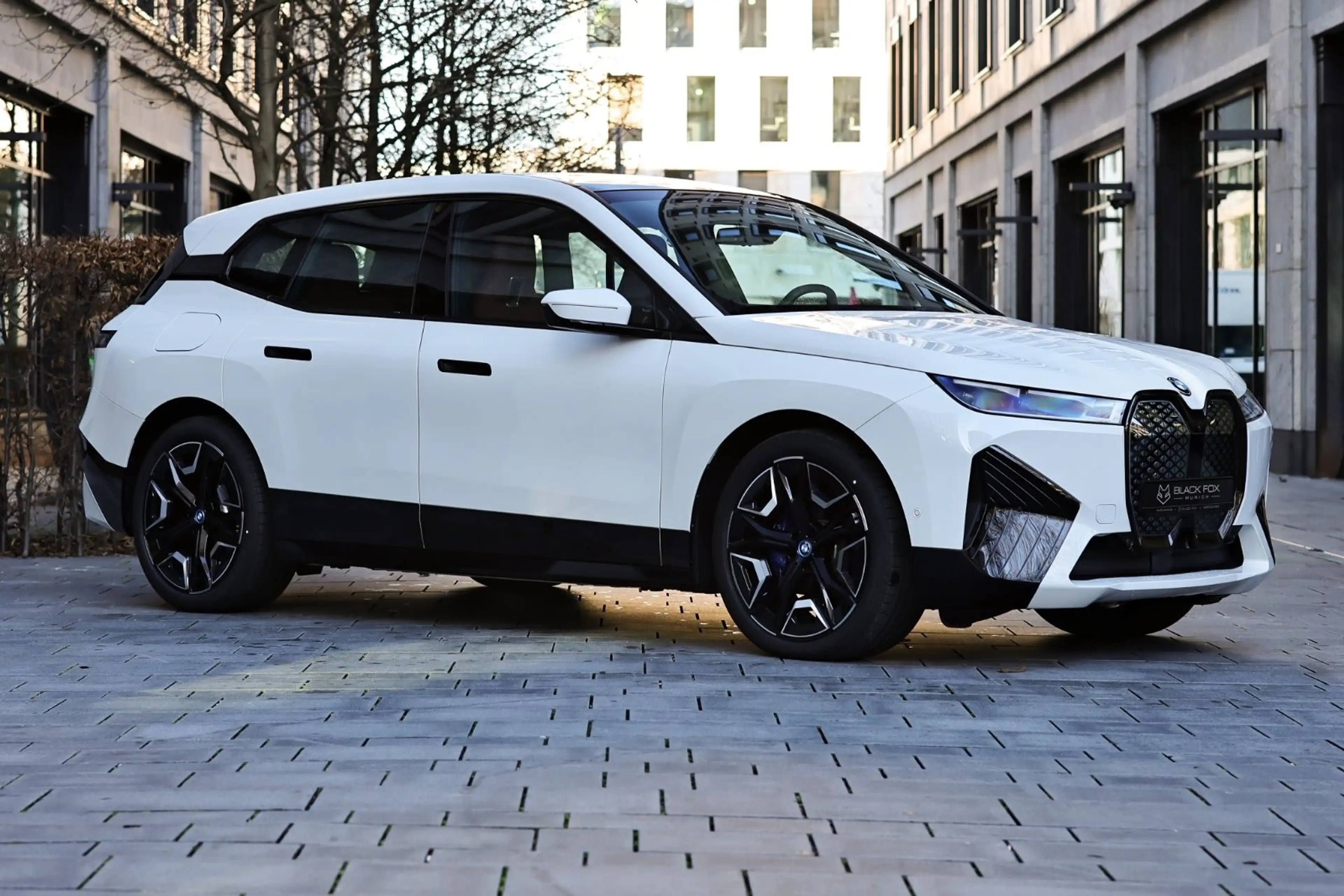 BMW iX 40 | xDrive Sport | Panorama | 22" Felgen — photo 6