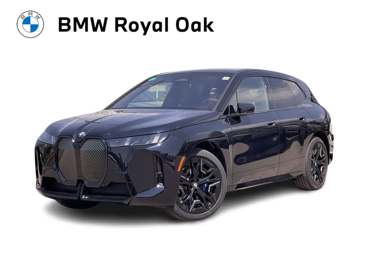 2026 BMW iX