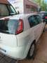 Fiat Punto Evo Punto Evo 1.4 5 porte S&S Dynamic Bianco - thumbnail 4