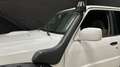 Nissan Patrol Y61 3.0 TDi 4WD 160 CV Blanc - thumbnail 11