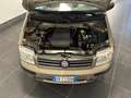 Fiat Panda PANDA 1.2 NATURAL POWER 60CV METANO DYNAMIC Gri - thumbnail 19