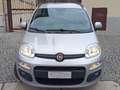Fiat Panda Easy 1.2 Grau - thumbnail 2