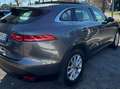 Jaguar F-Pace F-Pace 2015 2.0d i4 Portfolio 180cv auto my19 Grau - thumbnail 5
