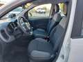 Fiat Panda 1.0 70cv E6D Hybrid City Life Parking + Bluetooth Blanc - thumbnail 3