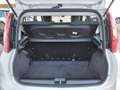 Fiat Panda 1.0 70cv E6D Hybrid City Life Parking + Bluetooth Blanc - thumbnail 5
