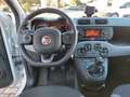 Fiat Panda 1.0 70cv E6D Hybrid City Life Parking + Bluetooth Blanc - thumbnail 6