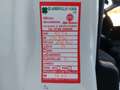 Fiat Panda 1.0 70cv E6D Hybrid City Life Parking + Bluetooth Blanc - thumbnail 12