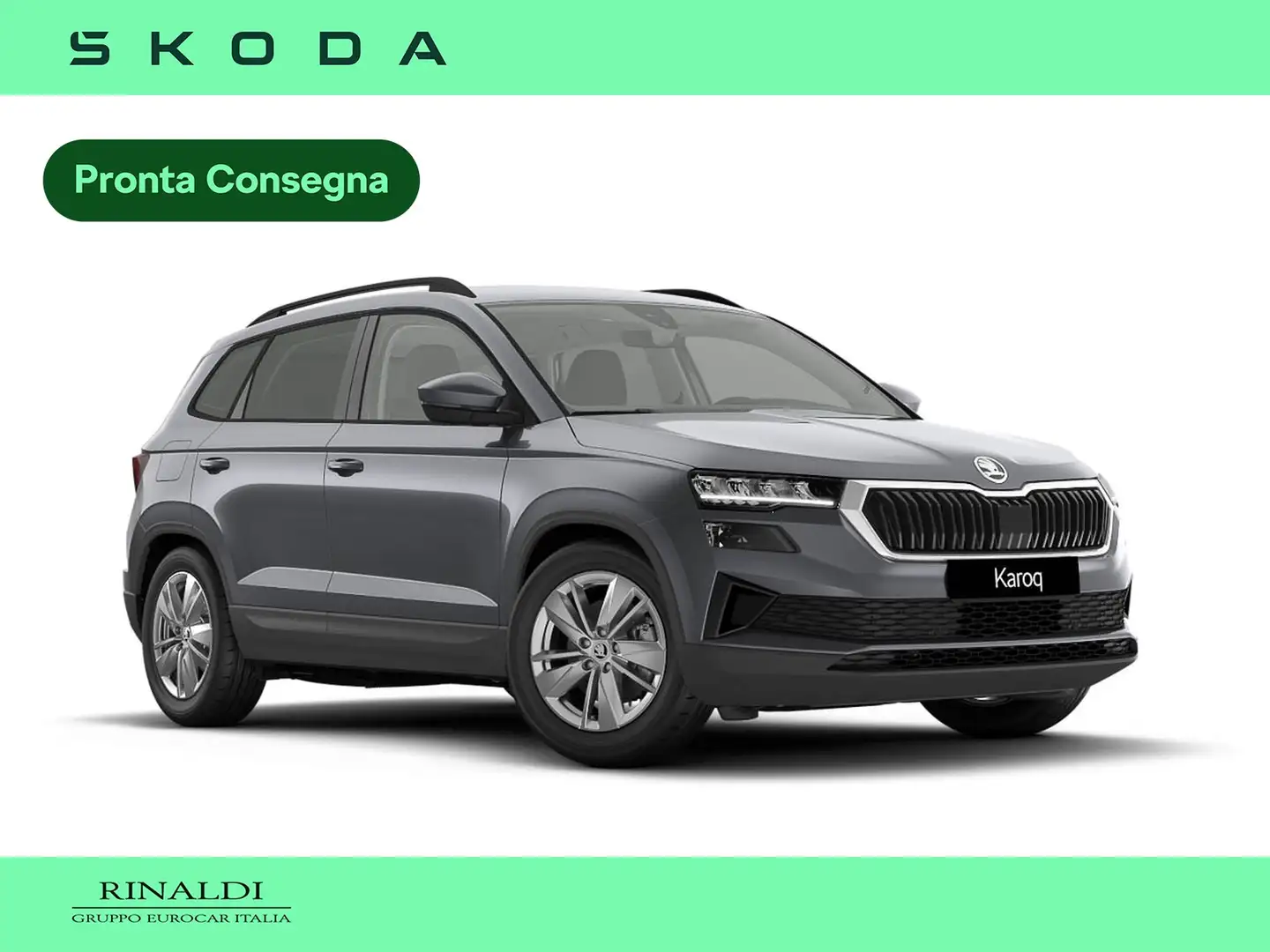 Skoda Karoq 2.0 tdi evo selection 150cv dsg Grigio - 1