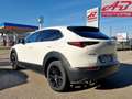 Mazda CX-30 2.0L e-Skyactiv-X M Hybrid 2WD Homura 6AT Bianco - thumbnail 7
