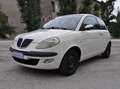 Lancia Ypsilon Ypsilon 1.3 mjt Momo Design NEOPATENTATI Bianco - thumbnail 3