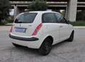 Lancia Ypsilon Ypsilon 1.3 mjt Momo Design NEOPATENTATI Bianco - thumbnail 6