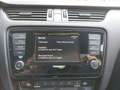 Skoda Octavia Octavia 2.0 TDI NUR GEWERBE 1 Hd. 4x4 DSG Scout - thumbnail 21