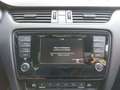 Skoda Octavia Octavia 2.0 TDI NUR GEWERBE 1 Hd. 4x4 DSG Scout - thumbnail 19