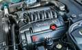 Jaguar Daimler V8 2 Jahre Garantie Зелений - thumbnail 24