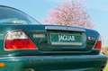 Jaguar Daimler V8 2 Jahre Garantie Зелений - thumbnail 22