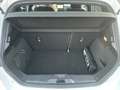 Ford Fiesta ST-Line Weiß - thumbnail 12
