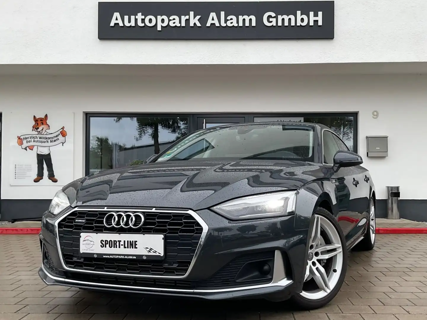 Audi A5 SB 45 TFSI quat."S Line" S-Tr.LED Nav RFK ACC Grau - 1