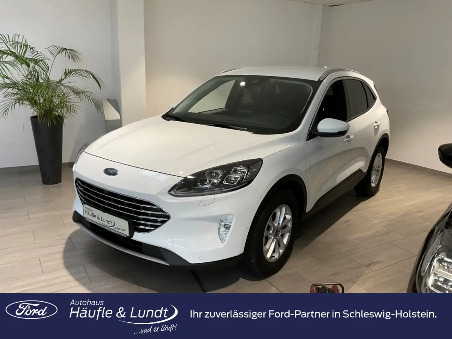 Ford Kuga Titanium X LED Navi Rückfahrkam. ACC Totwinkelassi Weiß - 1