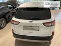 Ford Kuga Titanium X LED Navi Rückfahrkam. ACC Totwinkelassi Weiß - thumbnail 4