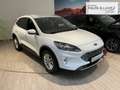 Ford Kuga Titanium X LED Navi Rückfahrkam. ACC Totwinkelassi Weiß - thumbnail 2