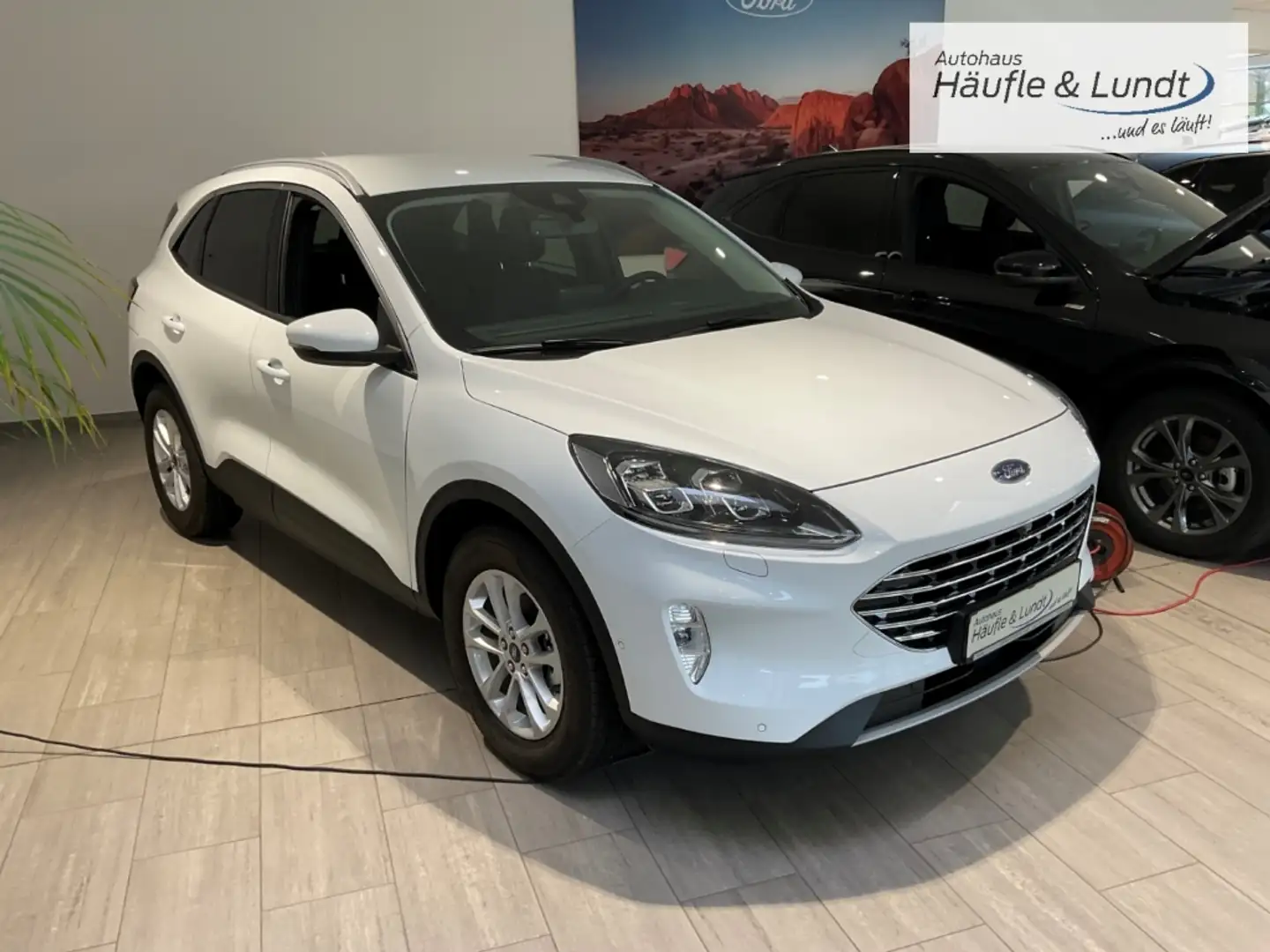 Ford Kuga Titanium X LED Navi Rückfahrkam. ACC Totwinkelassi Weiß - 2